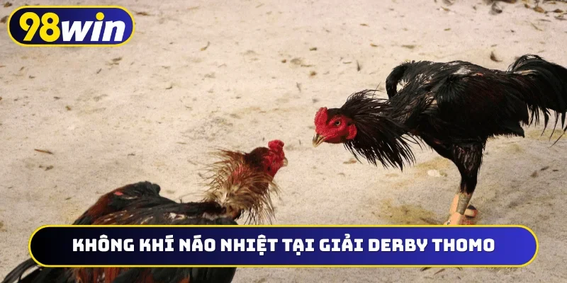 Không khí náo nhiệt tại giải derby Thomo