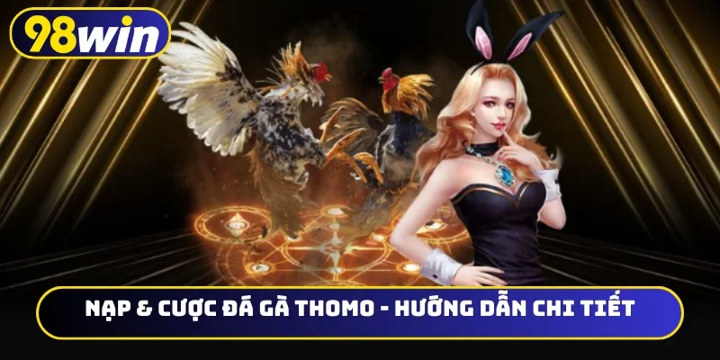 Nạp & cược đá gà Thomo
