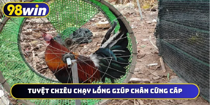 Tuyệt chiêu chạy lồng giúp chân cứng cáp